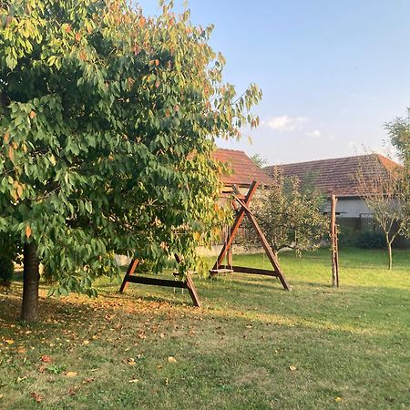 Ferienwohnung Tiszavirag Vendeghaz Tiszacsege Exterior foto