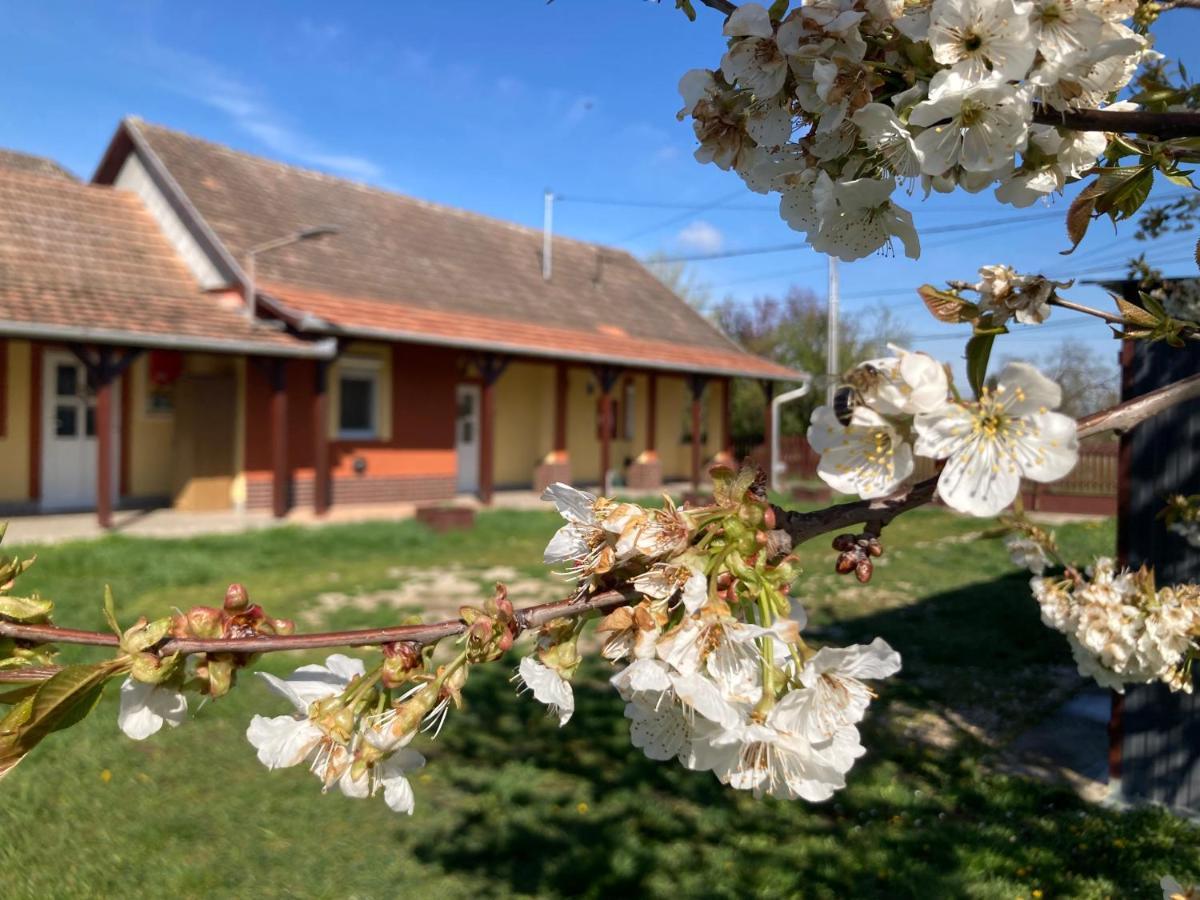 Ferienwohnung Tiszavirag Vendeghaz Tiszacsege Exterior foto